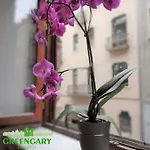 Greengary Apartment *
