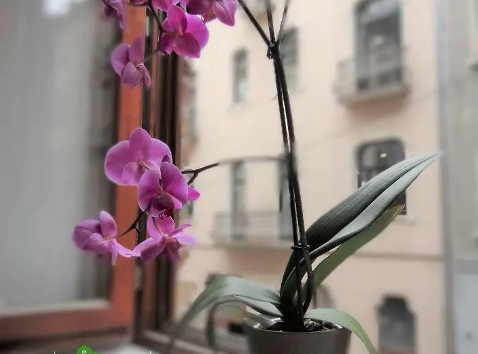 Greengary Appartamento *